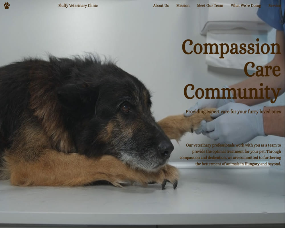 thumbnail-FLUFFY VETERINARY CLINIC-large